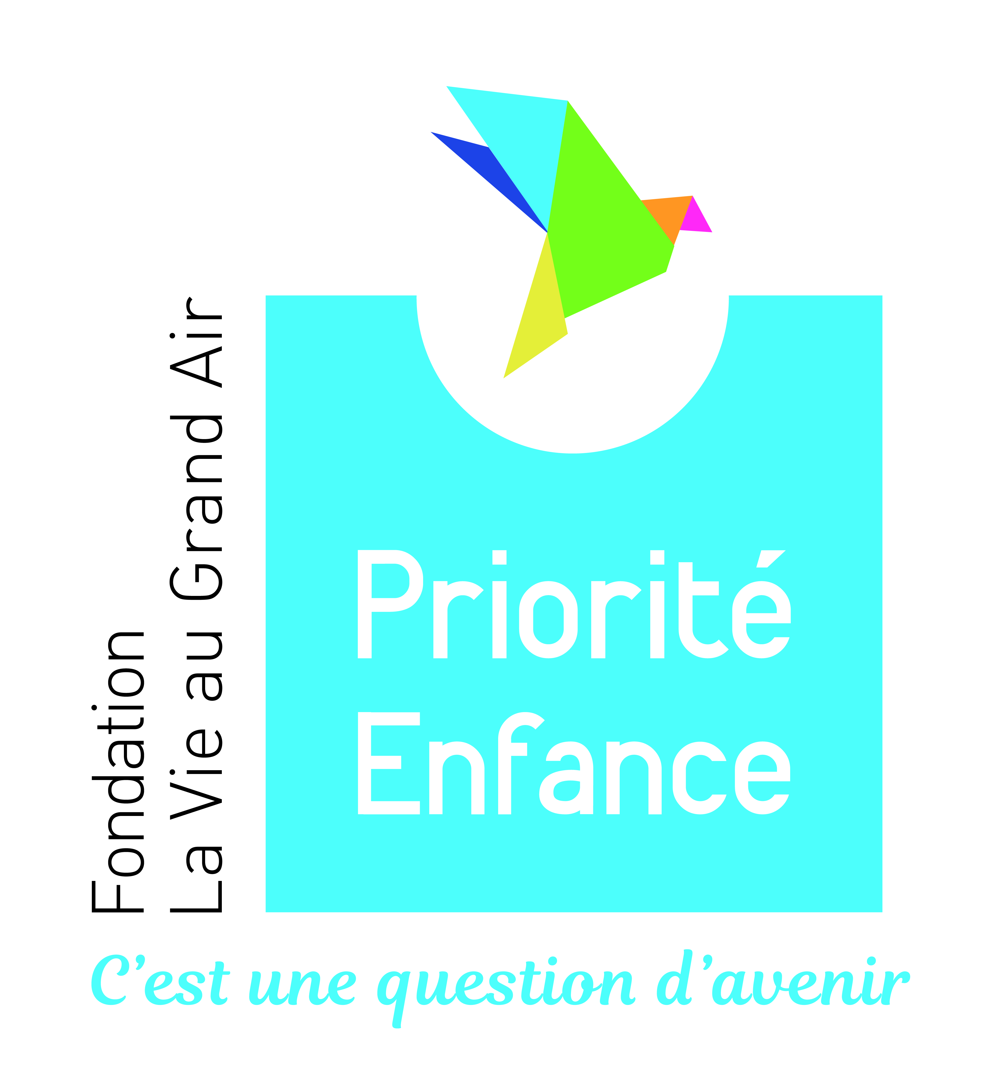 Logo Fondation La Vie au Grand Air